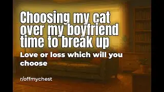 Reddit Confession Stories: Choosing a Heartbreak Over Love for the Last Remnants of My Cat