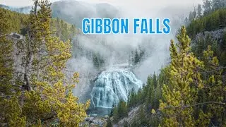 GIBBON FALLS | YELLOWSTONE NATIONAL PARK | 4K