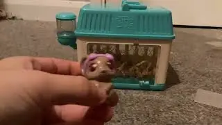 Naming little live pets