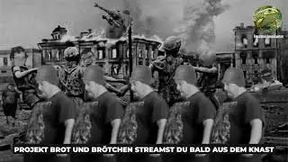 Jahr des Drachen - Die Froschteichmusikanten