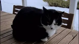 Вот и зима 2! Швейцария! Reichenburg, Kanton Schwyz!