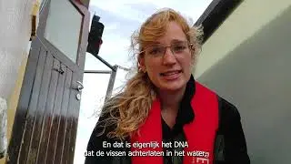 Onderzoek naar vissoorten in de Schelde