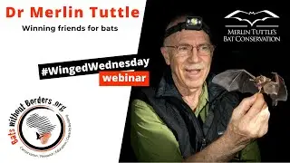 5 - #WingedWednesday webinar with Dr Merlin Tuttle