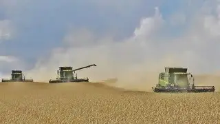 3x John Deere T670i, 8R + PERARD | Big Harvest 2020