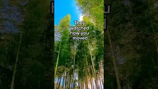 They watched how you moved
