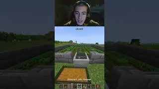 Farm di Carote e Patate automatica Minecraft #shorts