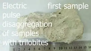 EPD Spark-2 test: to recover Asaphus expansus - taking the whole trilobite from solid rock