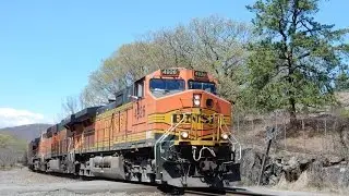 Railfan Iona and CP22 CSX Riverline