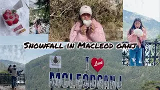 First Snowfall in MecLeod Ganj ⛄️ #trendingshorts #snowfall #himachal #travel #food #viral #love 