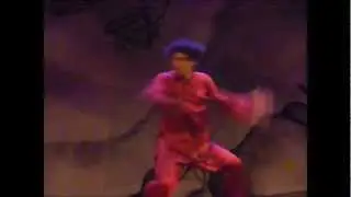 Wing Lam Kung Fu - CLIP 1