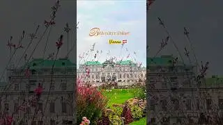Belvedere Palace, Vienna 🇦🇹 | Baroque Architecture & Scenic Views #shorts