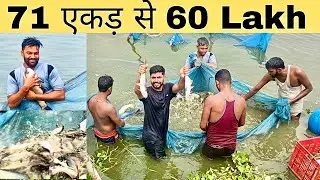 How I Combine Fish Farming with My Chest Workout Routine in ।। Day 34 Satyam singh
