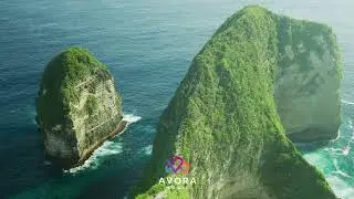 AVORA - Top Retro Music Deep House Exotic 🌴 Vokal Feelings Popular Hits 2025
