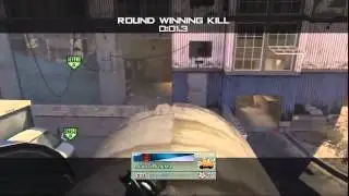 Holy Koala Bear!!! Insane!!!