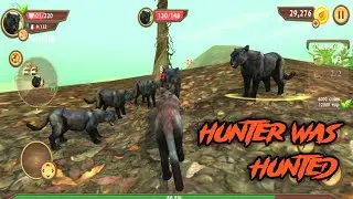 The Wild Panther Was Hunter By Another Panther In Wild Panther Sim 3D Android Game