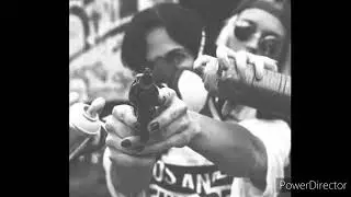 base de rap // v&aacute;ndalos // uso libre // DLR BEATS 🎵 #beat #instrumental #usolibre #beatsrap
