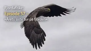 Fjordafiske: Episode 57 - «Årets siste tur på fjorden»