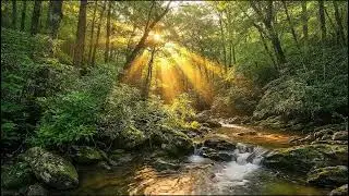 Relax in Nature, Gentle River & Birds Singing for Calm, Focus & Sleep, Nature Sounds River Flow 🌿