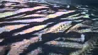 seddons corner bowl jump crash