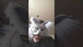 #music #automobile #musica #dj #remix #кв #therian #квадробика #furry #котывоители