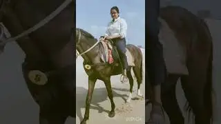 My first horse ride in marina beach #sunday #trending #shortsviral #shorts