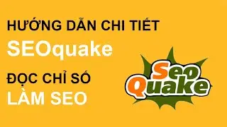 Hướng dẫn chi tiết phần mềm SEOquake đọc chỉ số SEO để tối ưu Website hiệu quả