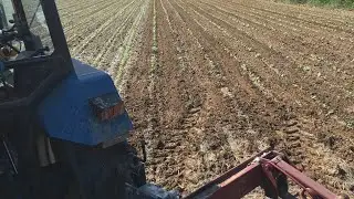 Sarchiatura fagioli bio 2023