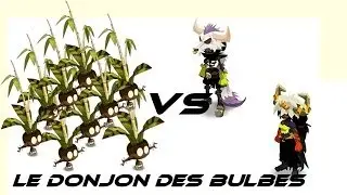 Le donjon des bulbes