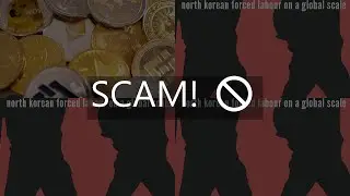 samtrade fx broker review  stay away from this anonymous forex broker
