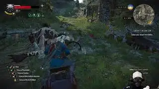 The Witcher 3 : You Only Garelt once