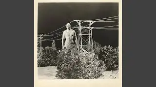 Tallest Man On Earth