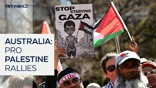 Thousands march in pro-Palestine rallies across Australia