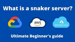 What is a Sneaker Server - Beginner's Guides