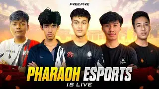 live handim hai ta!! PHARAOH ESPORTS