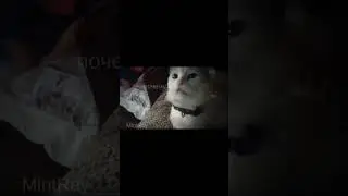 [-