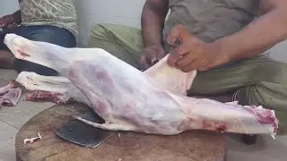 Incredible big size full goat cutting skills M saeed best meat shop Pakistan desi goat meat shop 
