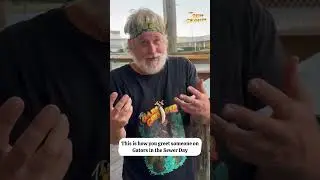 День аллигаторов в канализации 🐊🚽 (Да, это настоящий праздник)