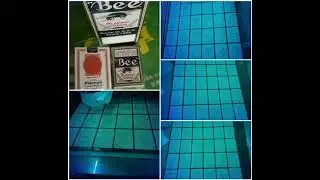 Bee Marked Cards For Invisible Ink Glasses