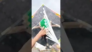 kite fighter short # pthang short video # kite lover short #kite flying short