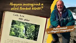 In the footsteps of forgotten pikitiks: How to move through dense foliage?