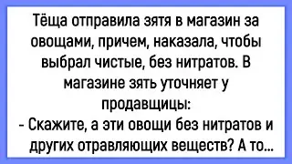 🤡Как Тёща Отправила Зятя В Магазин За Овощами! Сборник Смешных Анекдотов! Юмор! Позитив!