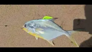 👉 Pesca na praia com anzol no suporte | Tabatinga-PB