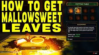 HOW TO GET MALLOWSWEET LEAVES IN HOGWARTS LEGACY