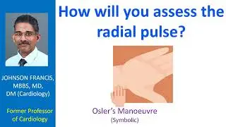 How will you assess the radial pulse?