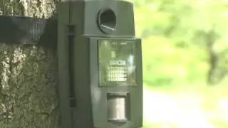 Stealth Cam Rogue 1540 IR Game Camera