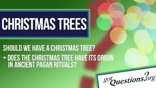 Should we have a Christmas tree?