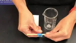 Try this ink analysis at home!