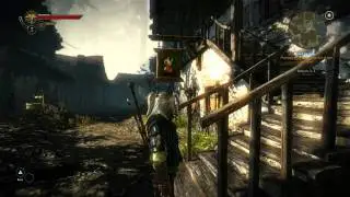 The Witcher 2 - Find Sile