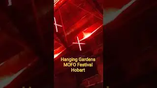 డాక్ మోఫో  ఫెస్టివల్#weekinthelife #shortvideo #music #treending #australia #party #