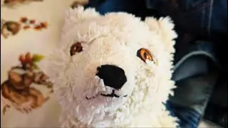 Winter's Mission | A Short Film Made By A Silly Intergalactic Artic Fox